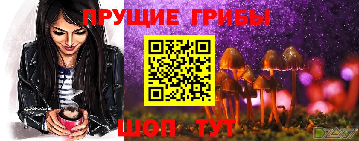 Псилоцибиновые грибы Cubensis Отрадное